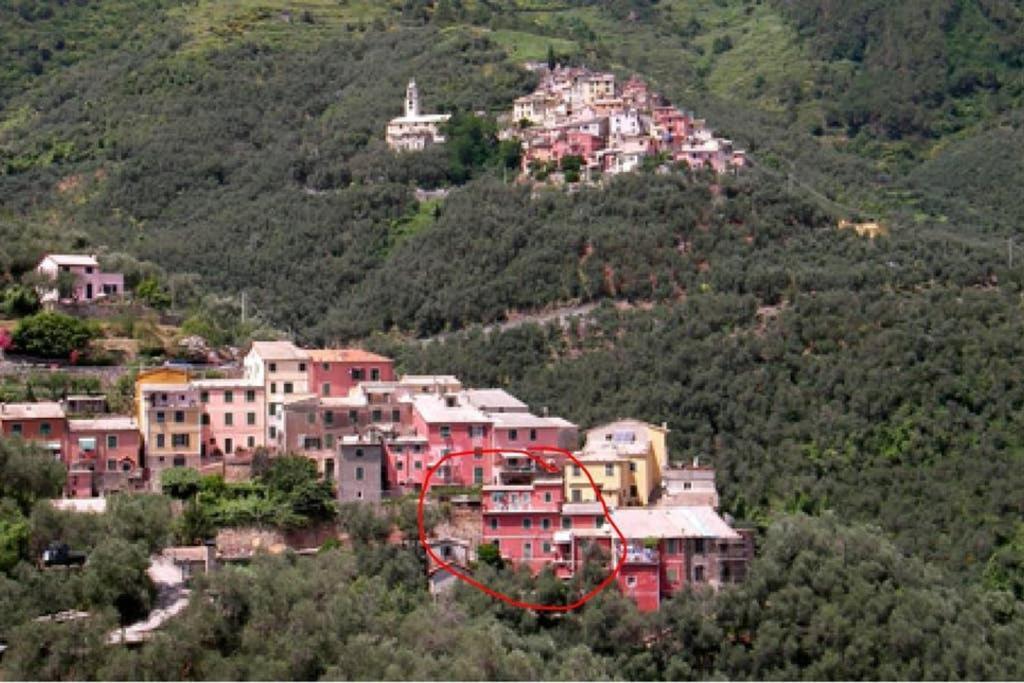 Le Case Della Lizza - Casa Rossa Levanto Exteriör bild
