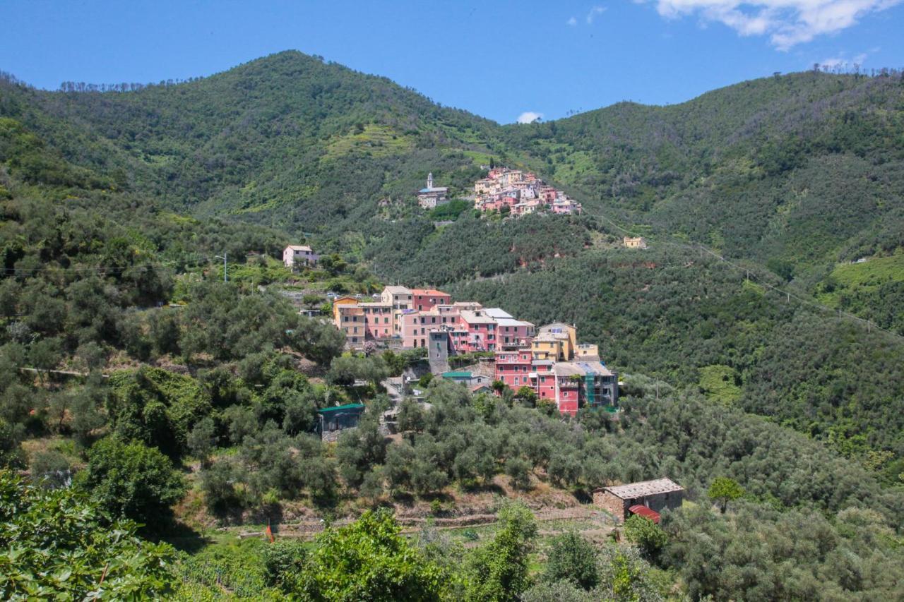 Le Case Della Lizza - Casa Rossa Levanto Exteriör bild