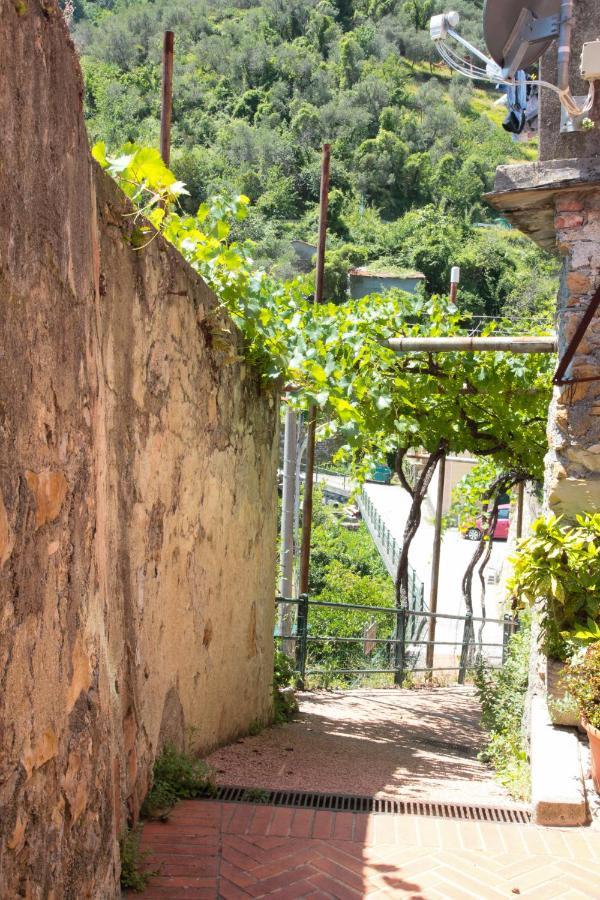 Le Case Della Lizza - Casa Rossa Levanto Exteriör bild